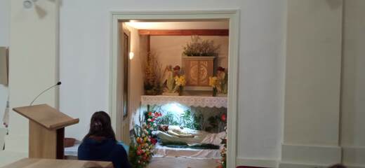 IMG_20240330_134501.jpg