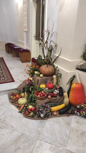 IMG_20250921_112812.jpg